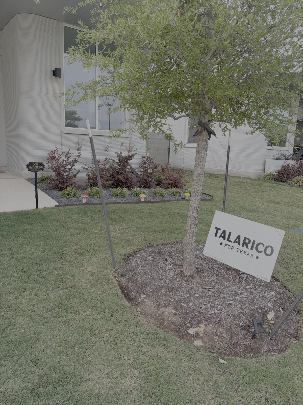 The Talarico sign in our front yard